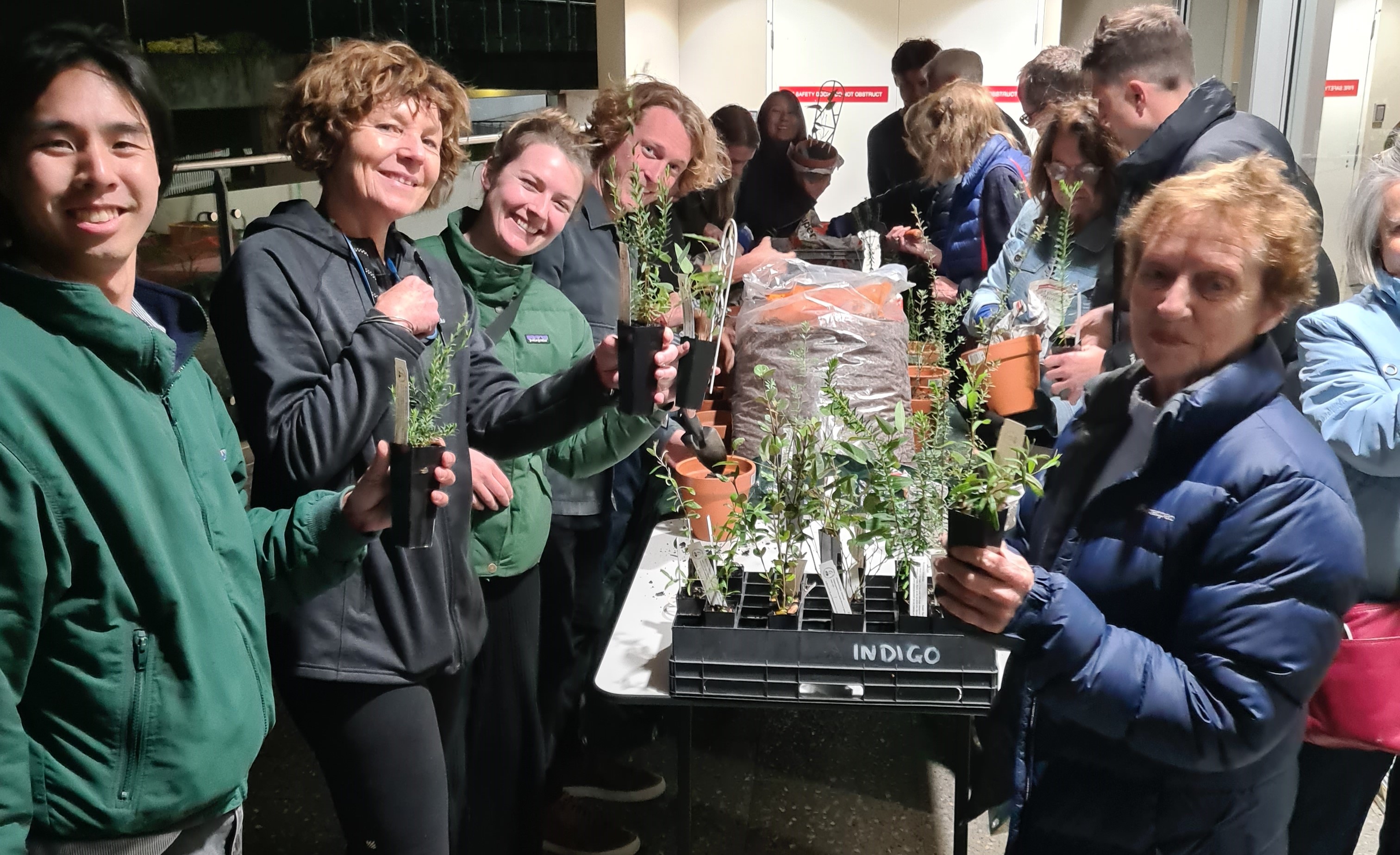 Tips for growing natives in pots Second Nature