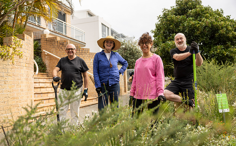 Verge gardens