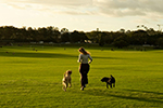 Queens Park