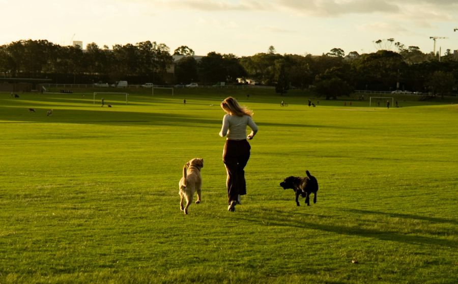 Queens Park