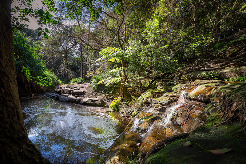 Bronte Gully by Annabel_Osborne_Photography