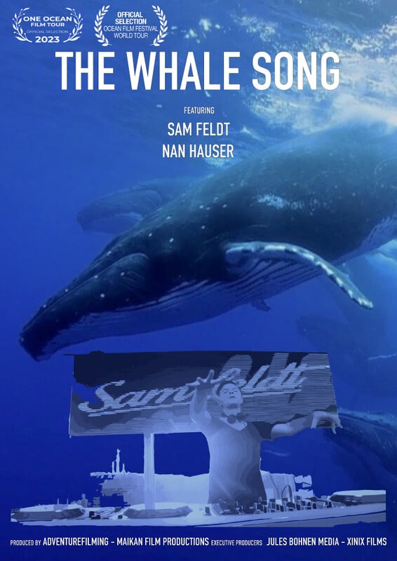 Two whales swimming and a DJ playing music in blue ocean