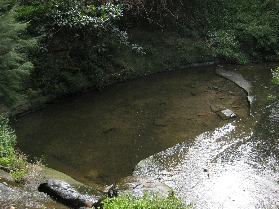 view of pond from above